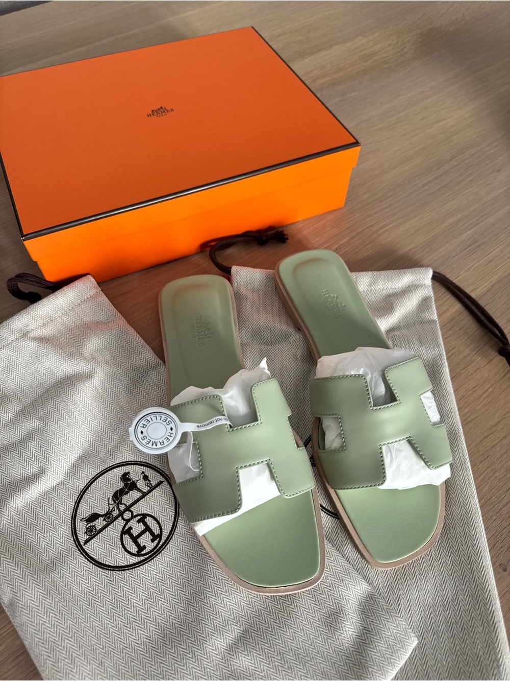 Hermes Oran Sandals in Vert De Mer  - NWT (size 39 EU)
